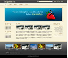 商丘網(wǎng)站建設(shè) 專(zhuān)業(yè)網(wǎng)站開(kāi)發(fā)與網(wǎng)絡(luò)公司選擇指南